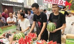 朝阳吃瓜网,揭秘娱乐圈最新热点，带你领略明星幕后故事